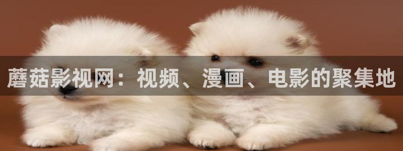 奇优影视手机在线免费观看电视剧